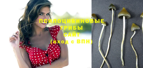прущая мука Алзамай
