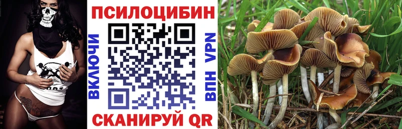 где купить наркоту  Аркадак  MEGA ССЫЛКА  Галлюциногенные грибы мухоморы 