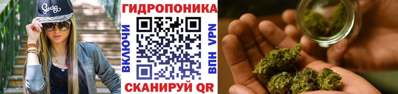 МАРИХУАНА семена  Аркадак 